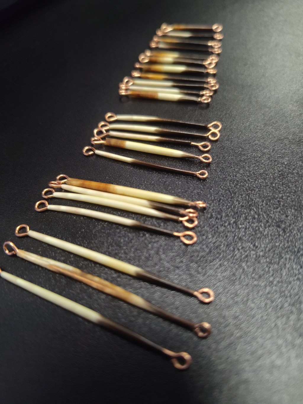 Pointing Toward Something New…&nbsp;🦔